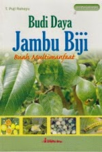 Image of Budidaya Jambu Biji
